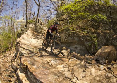 Mount Fitzgerald - Best Trail Ever