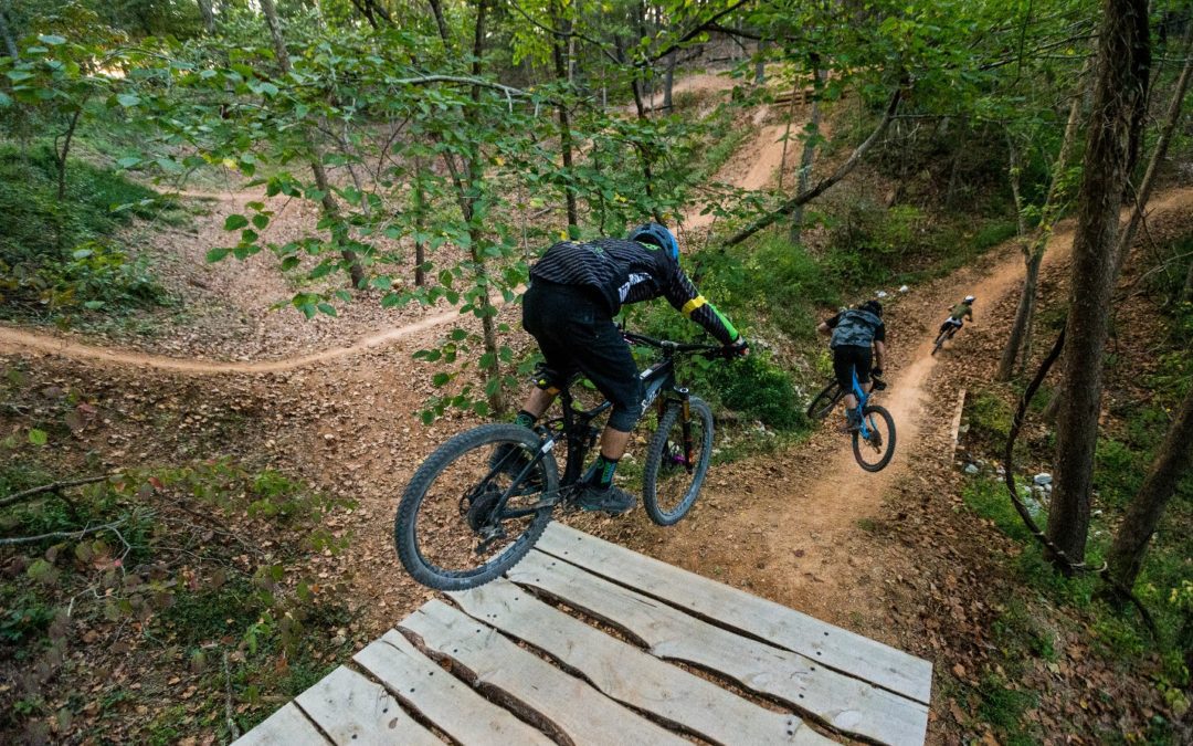 Coler Mountain Bike Preserve: Cease and Desist