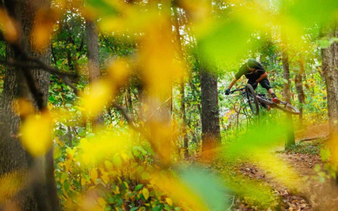 Oz Trails – Fall Foliage