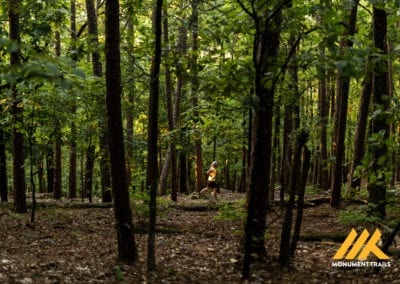 Pinnacle Mountain State Park