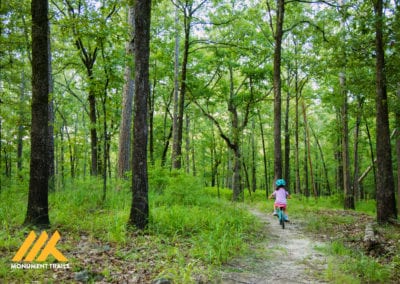 Pinnacle Mountain State Park