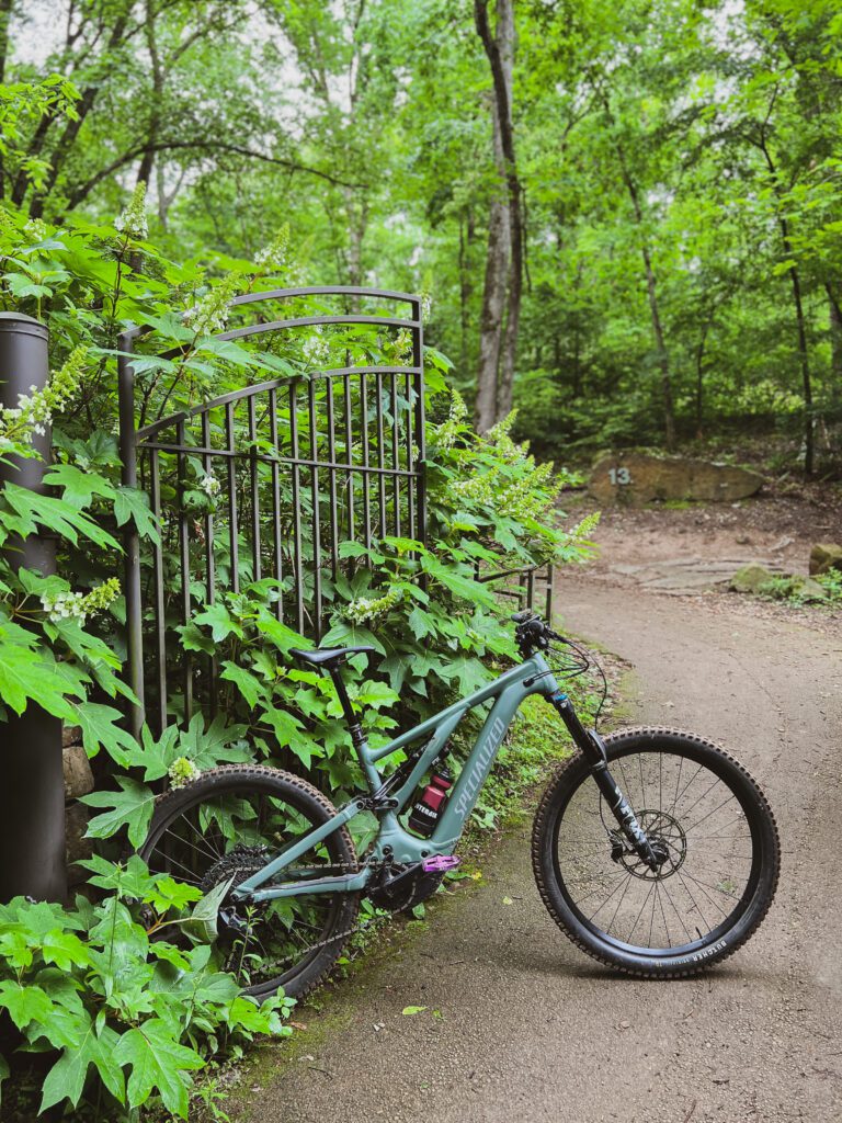 E-bike leaning against a metal fence with trees and bushes