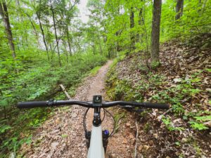 Handlebars with the trail in front of the e-mountain bike.