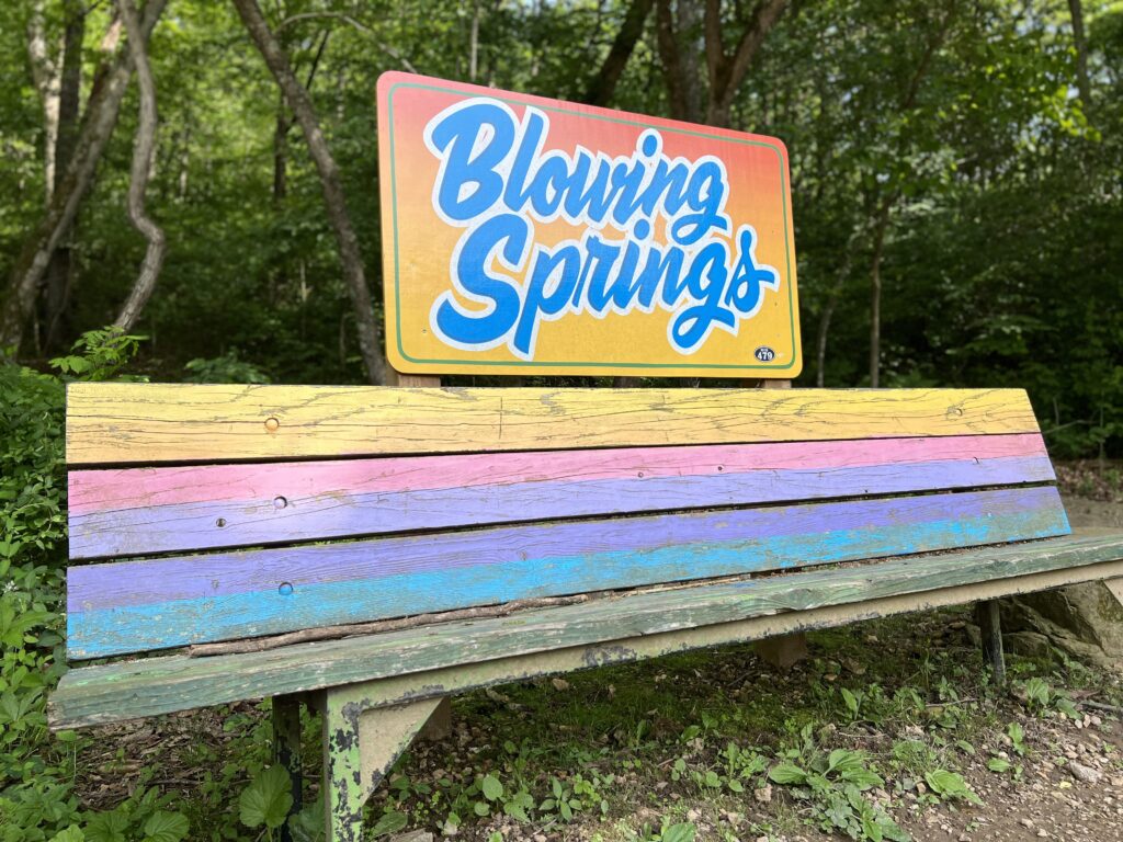 A colorful bench with a sign that reads Blowing Springs