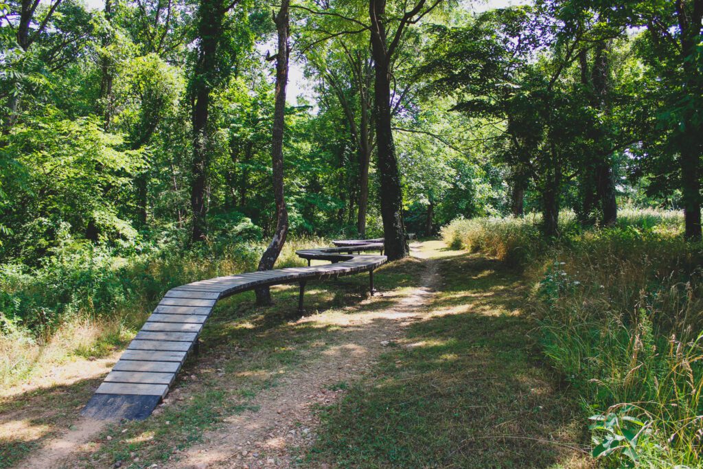 An elevated wood feature on the side of a mountain bike trail.