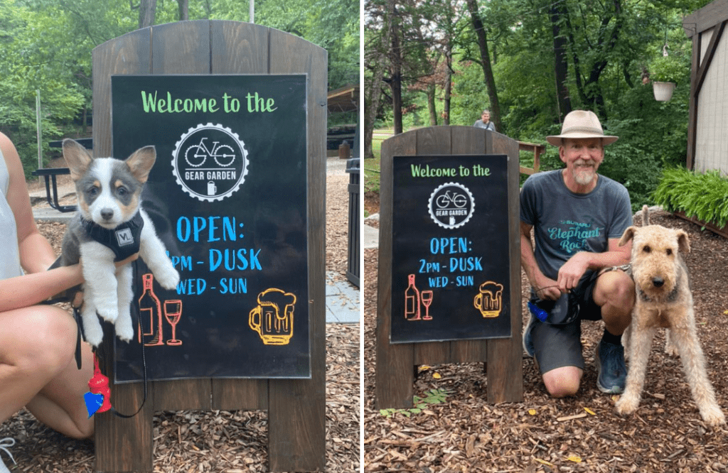 Two photos of a corgi and curly tan dog at the Gear Garden sign.