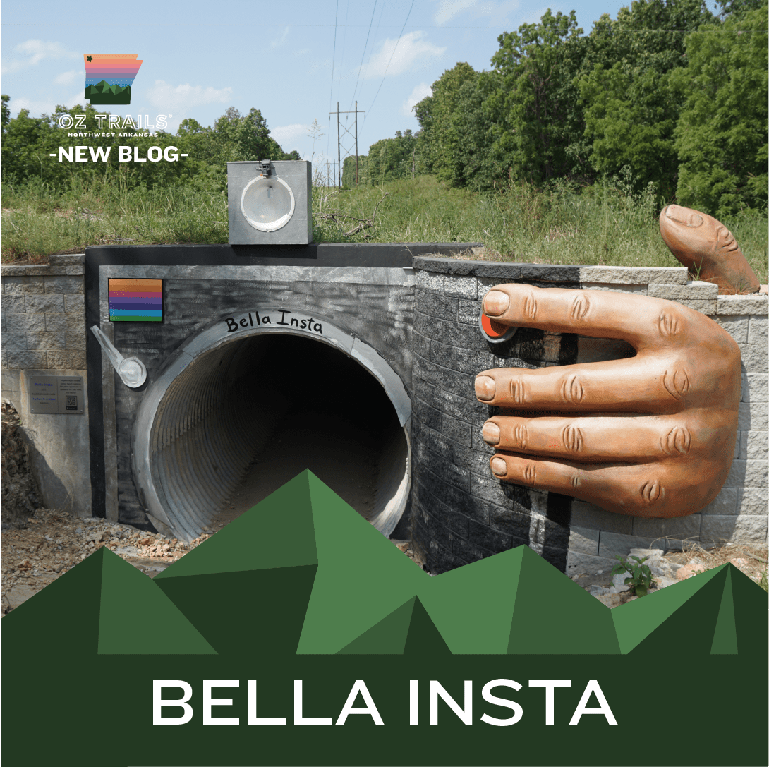 New Adventures in Bella Vista!