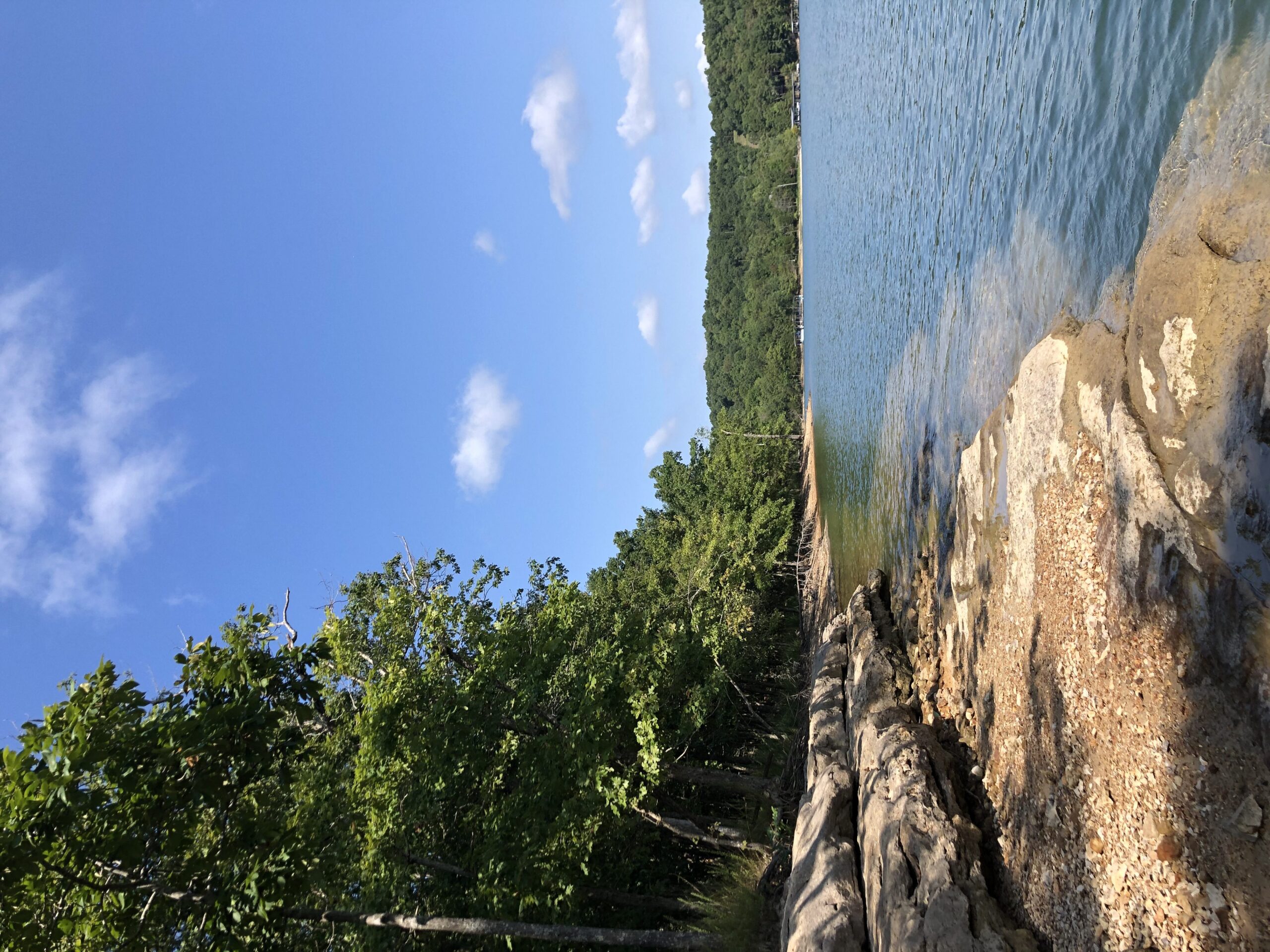 Lookout onto Beaver Lake.