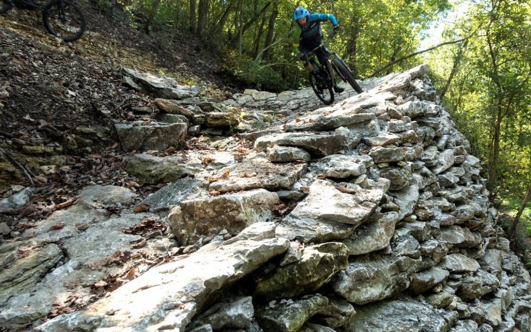 Coler’s Rock Solid: Separating the Bros from the Pros