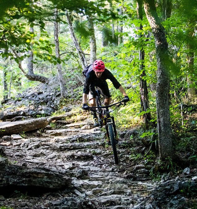 Lake Leatherwood: ‘A True Work of Trail Art’