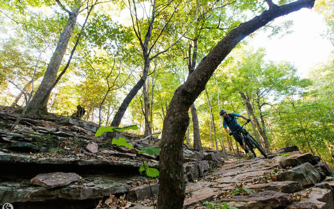 Labor Of Love: Mount Kessler